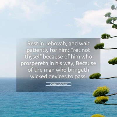 Picture 05 - Psalms 37:7 ASV - Rest in Jehovah, and wait patiently for him: Fret - Bible Verse Picture