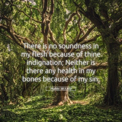 Picture 05 - Psalms 38:3 ASV - There is no soundness in my flesh because of - Bible Verse Picture