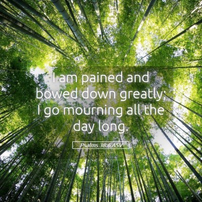 Picture 05 - Psalms 38:6 ASV - I am pained and bowed down greatly; I go mourning - Bible Verse Picture