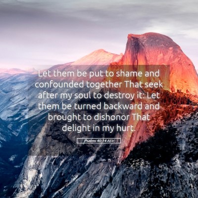 Picture 05 - Psalms 40:14 ASV - Let them be put to shame and confounded together - Bible Verse Picture