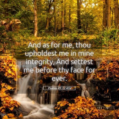 Picture 05 - Psalms 41:12 ASV - And as for me, thou upholdest me in mine - Bible Verse Picture
