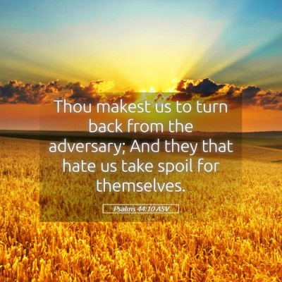 Picture 05 - Psalms 44:10 ASV - Thou makest us to turn back from the adversary; - Bible Verse Picture