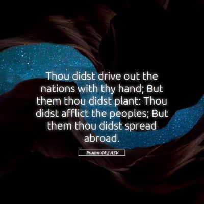 Picture 05 - Psalms 44:2 ASV - Thou didst drive out the nations with thy hand; - Bible Verse Picture