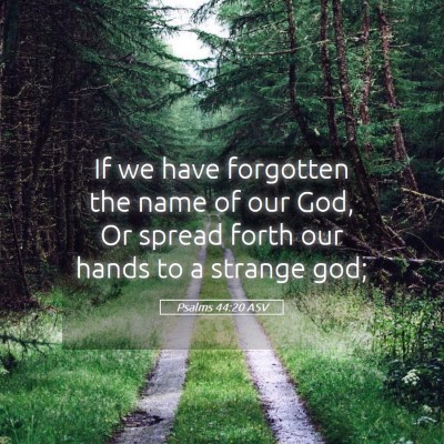 Picture 05 - Psalms 44:20 ASV - If we have forgotten the name of our God, Or - Bible Verse Picture