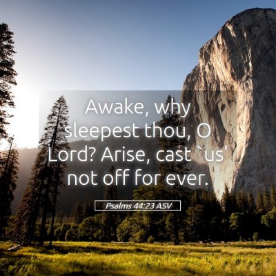 Picture 05 - Psalms 44:23 ASV - Awake, why sleepest thou, O Lord? Arise, cast - Bible Verse Picture