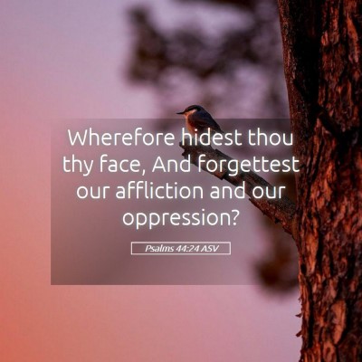 Picture 05 - Psalms 44:24 ASV - Wherefore hidest thou thy face, And forgettest - Bible Verse Picture