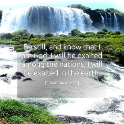 Picture 05 - Psalms 46:10 ASV - Be still, and know that I am God: I will be - Bible Verse Picture