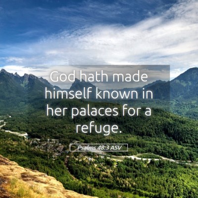 Picture 05 - Psalms 48:3 ASV - God hath made himself known in her palaces for a - Bible Verse Picture