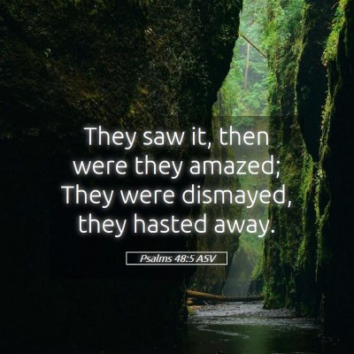 Picture 05 - Psalms 48:5 ASV - They saw it, then were they amazed; They were - Bible Verse Picture