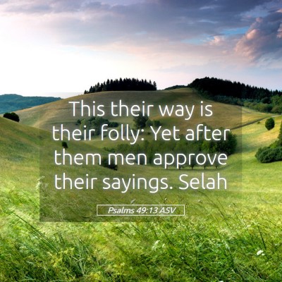 Picture 05 - Psalms 49:13 ASV - This their way is their folly: Yet after them men - Bible Verse Picture
