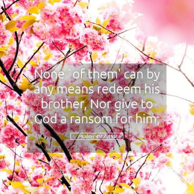 Picture 05 - Psalms 49:7 ASV - None `of them' can by any means redeem his - Bible Verse Picture