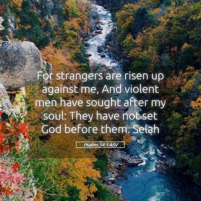 Picture 05 - Psalms 54:3 ASV - For strangers are risen up against me, And - Bible Verse Picture