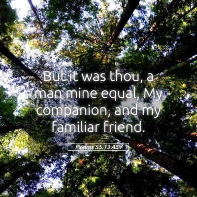 Picture 05 - Psalms 55:13 ASV - But it was thou, a man mine equal, My companion, - Bible Verse Picture