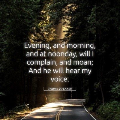 Picture 05 - Psalms 55:17 ASV - Evening, and morning, and at noonday, will I - Bible Verse Picture