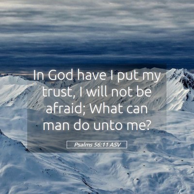Picture 05 - Psalms 56:11 ASV - In God have I put my trust, I will not be afraid; - Bible Verse Picture