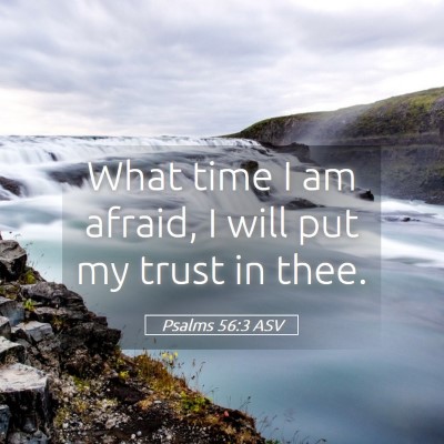 Picture 05 - Psalms 56:3 ASV - What time I am afraid, I will put my trust in - Bible Verse Picture