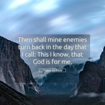 Picture 05 - Psalms 56:9 ASV - Then shall mine enemies turn back in the day that - Bible Verse Picture