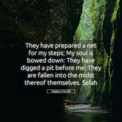 Picture 05 - Psalms 57:6 ASV - They have prepared a net for my steps; My soul is - Bible Verse Picture