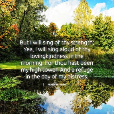 Picture 05 - Psalms 59:16 ASV - But I will sing of thy strength; Yea, I will sing - Bible Verse Picture
