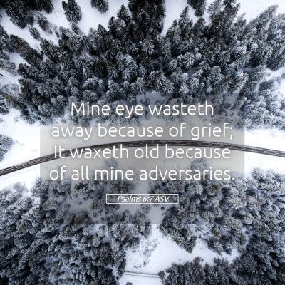 Picture 05 - Psalms 6:7 ASV - Mine eye wasteth away because of grief; It waxeth - Bible Verse Picture