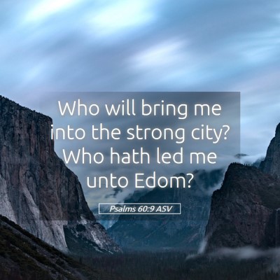 Picture 05 - Psalms 60:9 ASV - Who will bring me into the strong city? Who hath - Bible Verse Picture
