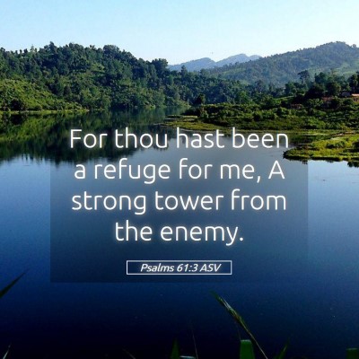 Picture 05 - Psalms 61:3 ASV - For thou hast been a refuge for me, A strong - Bible Verse Picture