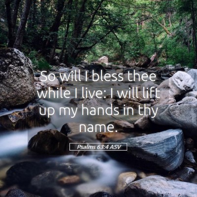 Picture 05 - Psalms 63:4 ASV - So will I bless thee while I live: I will lift up - Bible Verse Picture