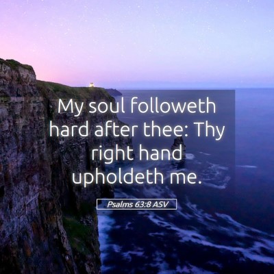 Picture 05 - Psalms 63:8 ASV - My soul followeth hard after thee: Thy right hand - Bible Verse Picture