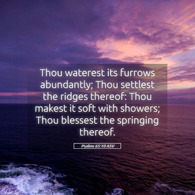 Picture 05 - Psalms 65:10 ASV - Thou waterest its furrows abundantly; Thou - Bible Verse Picture