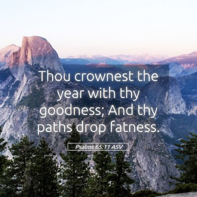 Picture 05 - Psalms 65:11 ASV - Thou crownest the year with thy goodness; And thy - Bible Verse Picture