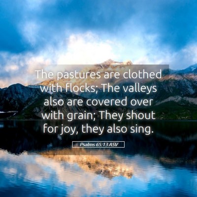 Picture 05 - Psalms 65:13 ASV - The pastures are clothed with flocks; The valleys - Bible Verse Picture
