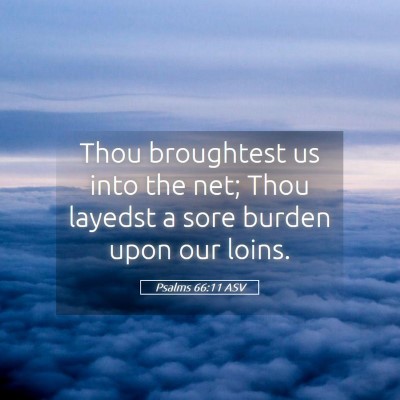 Picture 05 - Psalms 66:11 ASV - Thou broughtest us into the net; Thou layedst a - Bible Verse Picture