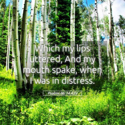 Picture 05 - Psalms 66:14 ASV - Which my lips uttered, And my mouth spake, when I - Bible Verse Picture
