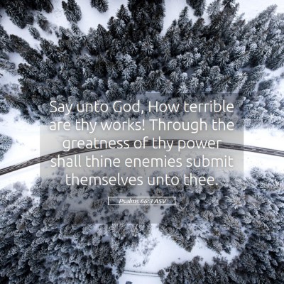 Picture 05 - Psalms 66:3 ASV - Say unto God, How terrible are thy works! Through - Bible Verse Picture