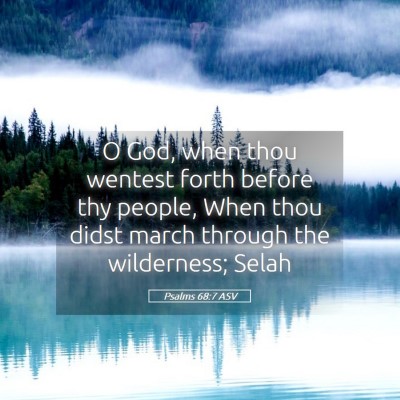 Picture 05 - Psalms 68:7 ASV - O God, when thou wentest forth before thy people, - Bible Verse Picture