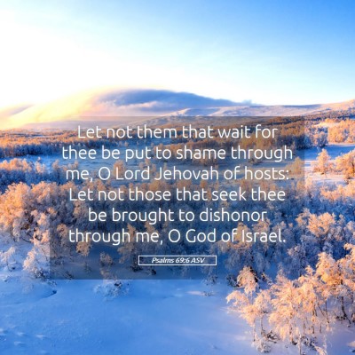 Picture 05 - Psalms 69:6 ASV - Let not them that wait for thee be put to shame - Bible Verse Picture