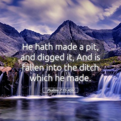 Picture 05 - Psalms 7:15 ASV - He hath made a pit, and digged it, And is fallen - Bible Verse Picture