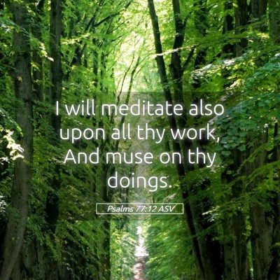 Picture 05 - Psalms 77:12 ASV - I will meditate also upon all thy work, And muse - Bible Verse Picture
