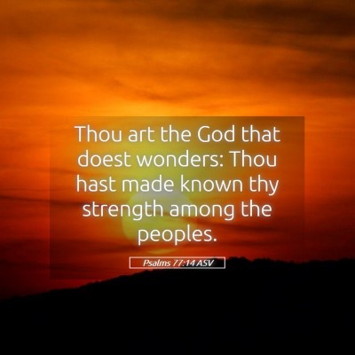 Picture 05 - Psalms 77:14 ASV - Thou art the God that doest wonders: Thou hast - Bible Verse Picture
