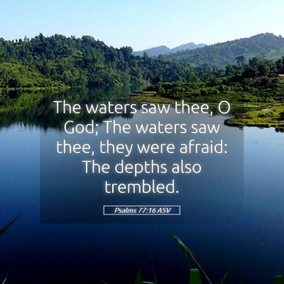 Picture 05 - Psalms 77:16 ASV - The waters saw thee, O God; The waters saw thee, - Bible Verse Picture