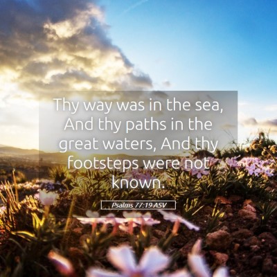 Picture 05 - Psalms 77:19 ASV - Thy way was in the sea, And thy paths in the - Bible Verse Picture