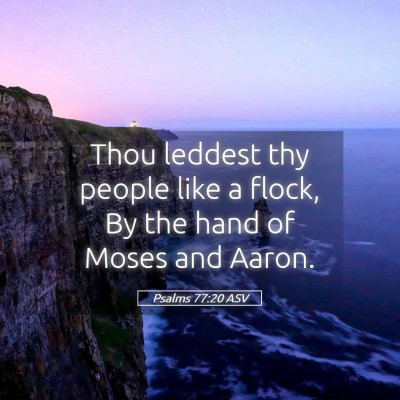 Picture 05 - Psalms 77:20 ASV - Thou leddest thy people like a flock, By the hand - Bible Verse Picture