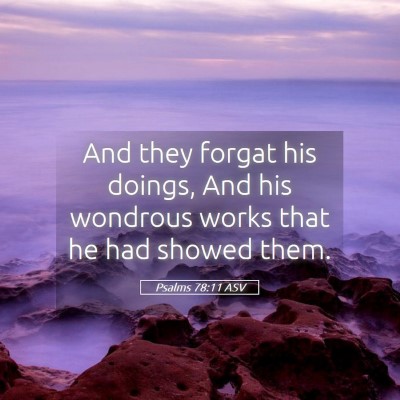 Picture 05 - Psalms 78:11 ASV - And they forgat his doings, And his wondrous - Bible Verse Picture