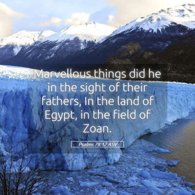 Picture 05 - Psalms 78:12 ASV - Marvellous things did he in the sight of their - Bible Verse Picture