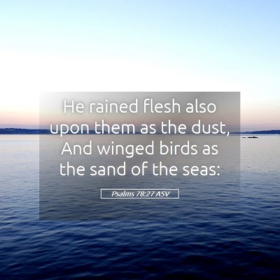 Picture 05 - Psalms 78:27 ASV - He rained flesh also upon them as the dust, And - Bible Verse Picture