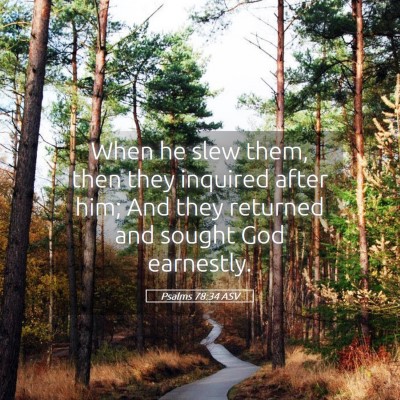 Picture 05 - Psalms 78:34 ASV - When he slew them, then they inquired after him; - Bible Verse Picture