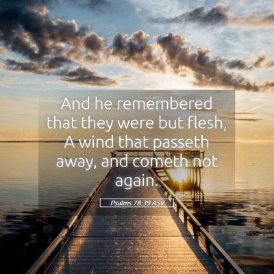Picture 05 - Psalms 78:39 ASV - And he remembered that they were but flesh, A - Bible Verse Picture