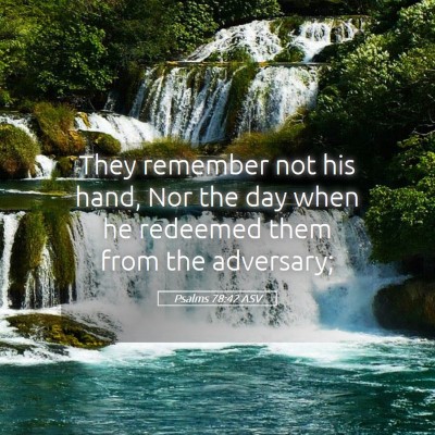 Picture 05 - Psalms 78:42 ASV - They remember not his hand, Nor the day when he - Bible Verse Picture