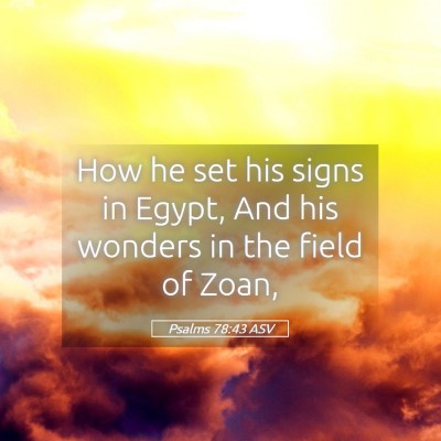 Picture 05 - Psalms 78:43 ASV - How he set his signs in Egypt, And his wonders in - Bible Verse Picture