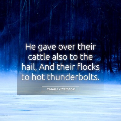 Picture 05 - Psalms 78:48 ASV - He gave over their cattle also to the hail, And - Bible Verse Picture